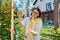 Woman caring for a climbing rose bush, tying branches on a wooden support