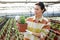 Woman caring for lavender sprouts plant in greenhouse