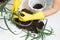 Woman caring for a plant, indoors. Close-up of an elderly woman\'s hands in gloves holding aloe vera roots, top view