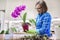 Woman caring for plant Phalaenopsis orchid, cutting roots, changing soil