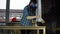 Woman carpenter smacks wood dust from table top with brush in workshop.