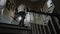 A woman carries a Christmas tree up the stairs in her house