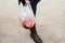 Woman carrying plastic bag with apples outdoors