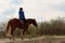 Woman in casual clothes rides a horse in early spring