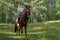 Woman in casual clothes rides a horse in early spring