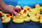 Woman catches duck from Many yellow rubber ducks floating in the blue pool using the fishing rod.