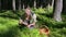Woman caucasian sitting picking blueberries basket forest grass