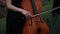 Woman cellist plays the cello on meadow at dusk.