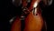 Woman cellist's hands adjust red brown cello and check it with bow. Closeup. Concept of tuning musical instrument