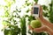 Woman checking apple with nitrate tester on blurred background. Space for text