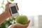 Woman checking apple with nitrate tester at home