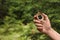 Woman checking modern compass in wilderness