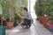 Woman checking stocks in garden center