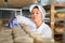 Woman cheesemaker checking aging process of cheese in maturing chamber