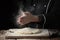 Woman chef hand clap with splash of white flour on a black background