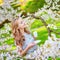 Woman in cherry blossom garden with cup of tea