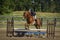 Woman and chestnut gelding over plank jump