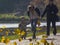 Woman with a child. Autumn time, autumn in the city, urban autumn landscape with a pond. Leaves fly and spin