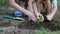 Woman and the child planting seedlings and watering them in backyard garden