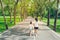 Woman and child walking on footpath and walkway in the public park.