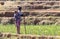 Woman with child working on a field in Madagascar. Food for over 25 million Malagasy