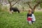 A woman with children looks at a grazing cow on the background of a blooming garden and green grass