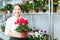 Woman chooses Cyclamen plant at flower shop
