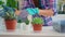 Woman choosing flowers for replanting