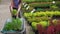 woman choosing garden plants at plant nursery