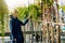 Woman choosing ornamental garden tree at plant nursery store