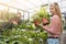 Woman choosing plants for her home in flower shop / green garden