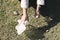 Woman cleaning area and picking garbage after camping