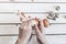 Woman cleaning boiled eggs from the shell