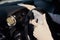 Woman cleaning a car with disinfection spray to protect from coronavirus. Car washing