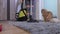 Woman cleaning carpet with vacuum cleaner