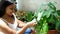 Woman Cleaning Tropical Plant At Home