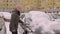 Woman cleaning up car from the snow.