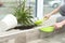 Woman cleaning window sill from soil at home