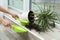 Woman cleaning window sill from soil at home