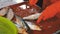 Woman Cleans and Cuts Fresh Fish in Fish Market