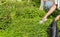 Woman cleans up by picking up plastic bottles at a natural water reservoir. Concept of protecting environment, saving world,