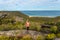 Woman on clifftop holding mobile phone, views to ocean beach