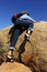 Woman Climbing Boulder in High Heel