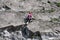 Woman climbing a vertical rock along river Meuse in Belgium