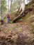 A woman climbs a hill