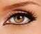 Woman close-up eye. False lash