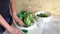 The woman closes the lid of a jar of cucumbers. Cucumbers are covered with pickling marinade. Harvest conservation. Close-up shot