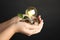 Woman with coins, light bulb and green plant against background, closeup. Power saving