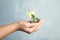 Woman with coins, light bulb and green plant on background, closeup. Power saving