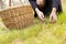 Woman collecting mushrooms in dark peaceful forest, escape from the city, mushroom harvest